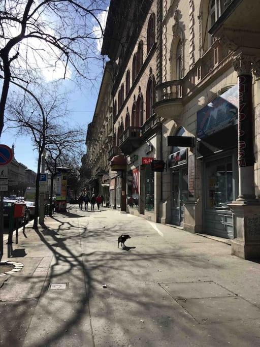 Downtown Island Of Peace By Nw Apartament