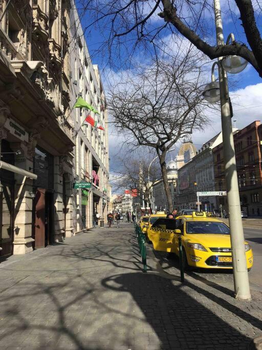 Appartement Downtown Island Of Peace By Nw